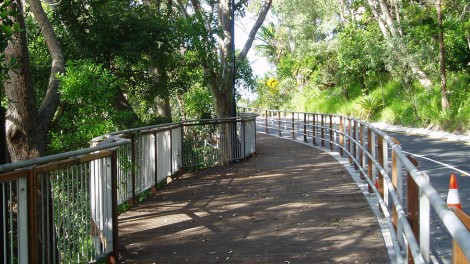 Noosa-Park-Ark-Construction